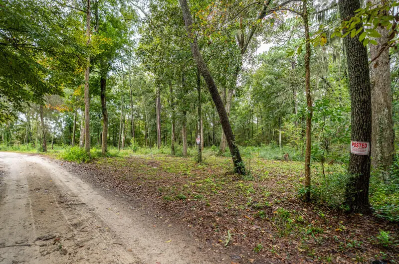 42 Presnell Circle, Beaufort, SC 29902 - Image #2