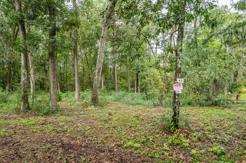 42 Presnell Circle, Beaufort, SC 29902 - Image #3