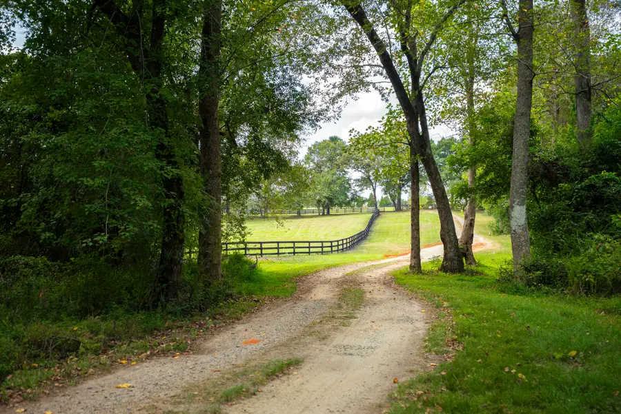 Address Withheld By Seller, Wagener, SC 29164 - Image #3