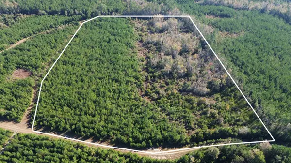 16 Hwy 311, Cross, SC 29436