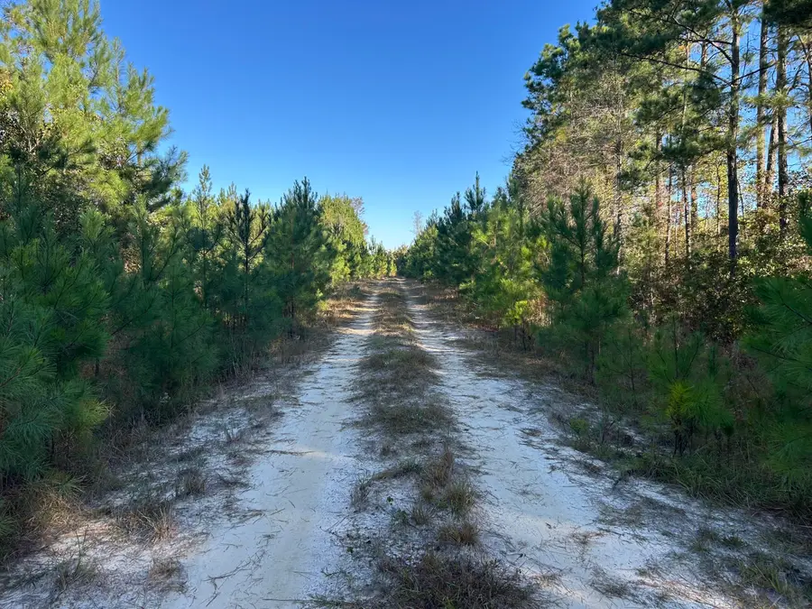 16 Hwy 311, Cross, SC 29436 - Image #2