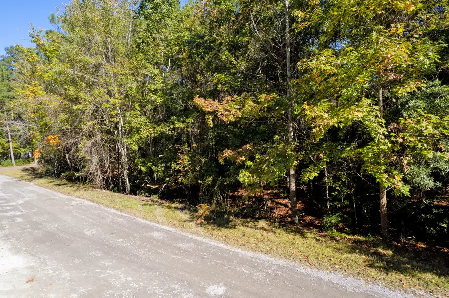 0 Breezeway Road, Dorchester, SC 29437 - Image #3