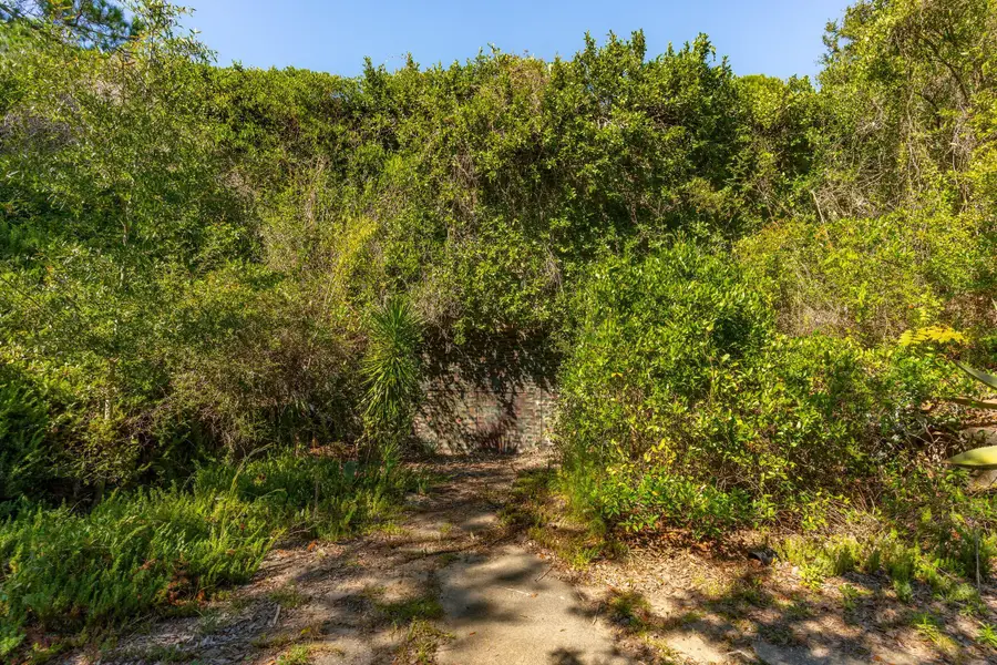 3019 Ion Avenue, Sullivans Island, SC 29482 - Image #3