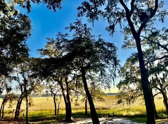 481 Paige Point, Seabrook, SC 29940 - Image #3