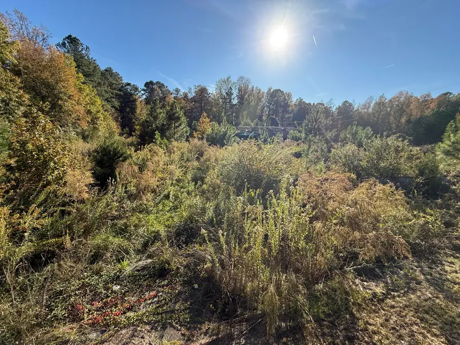 37 Saxon Road, Kingstree, SC 29556 - Image #2