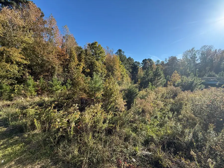 37 Saxon Road, Kingstree, SC 29556 - Image #3