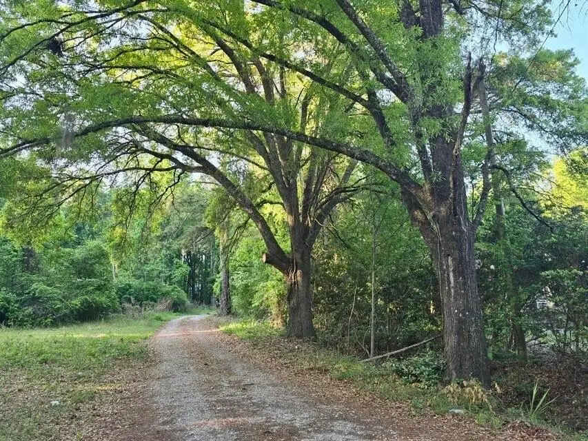 277 Pidgeon Bay Road, Summerville, SC 29483 - Image #3