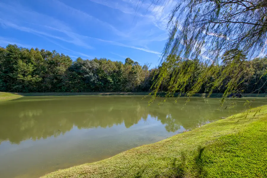 161 Carolinian Drive, Summerville, SC 29485 - Image #2