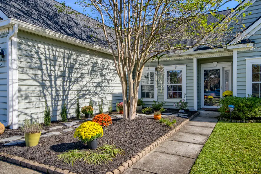 161 Carolinian Drive, Summerville, SC 29485 - Image #3