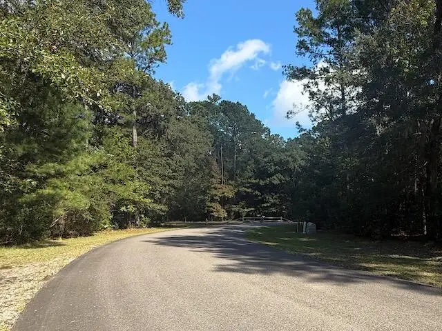 3934 Gnarled Oaks Lane, Johns Island, SC 29455 - Image #2