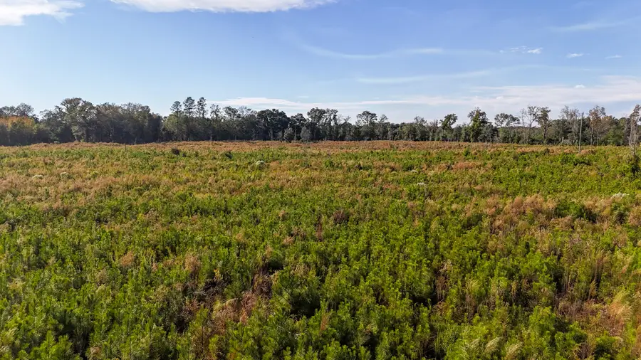 0 Spanish Drive #C, Bowman, SC 29018 - Image #3