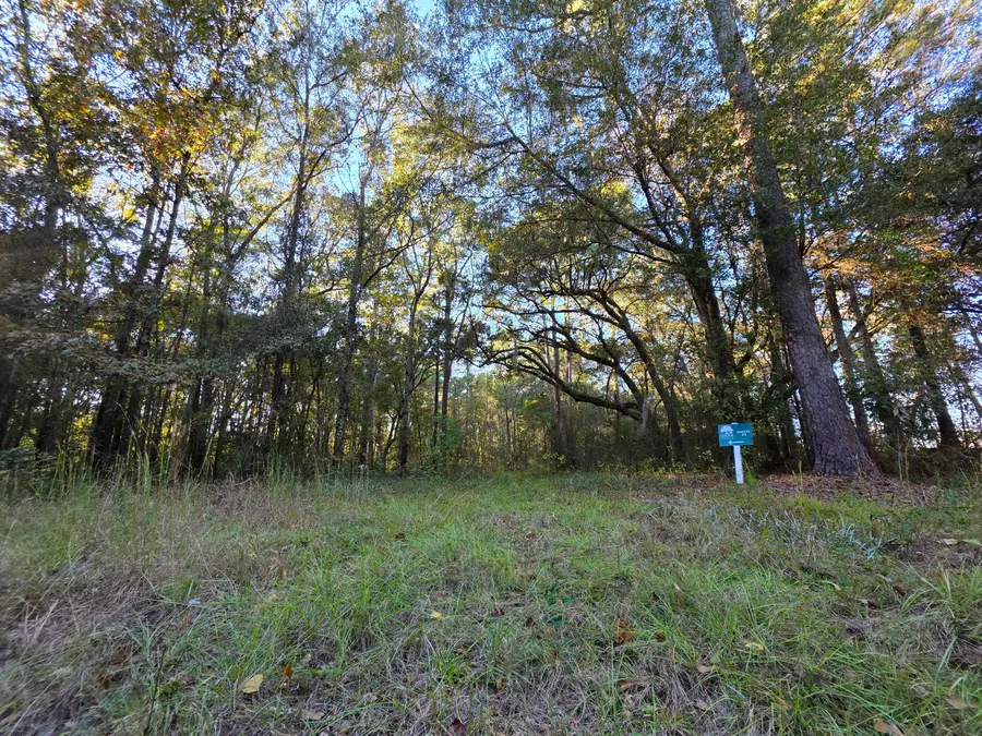 8750 Old Georgetown Road, McClellanville, SC 29458 - Image #3