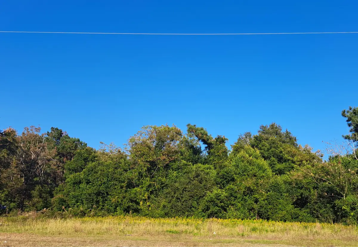 38-121 Hampton Street, Elloree, SC 29047 - Image #1