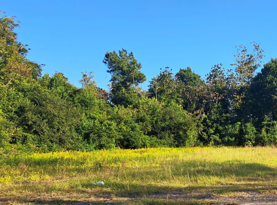 38-121 Hampton Street, Elloree, SC 29047 - Image #2