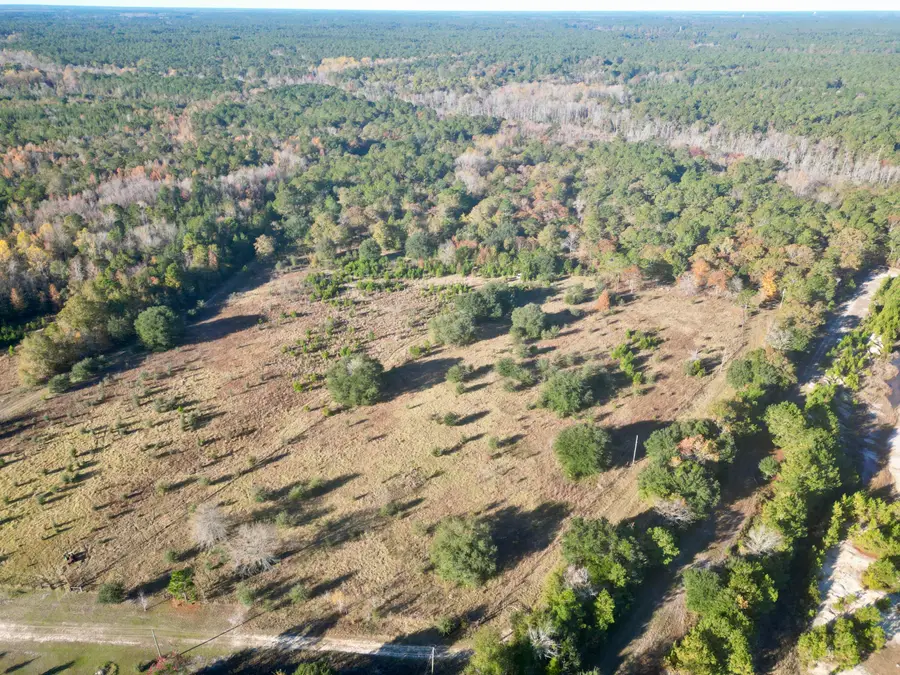 00 Virginia Road, Dorchester, SC 29437 - Image #2