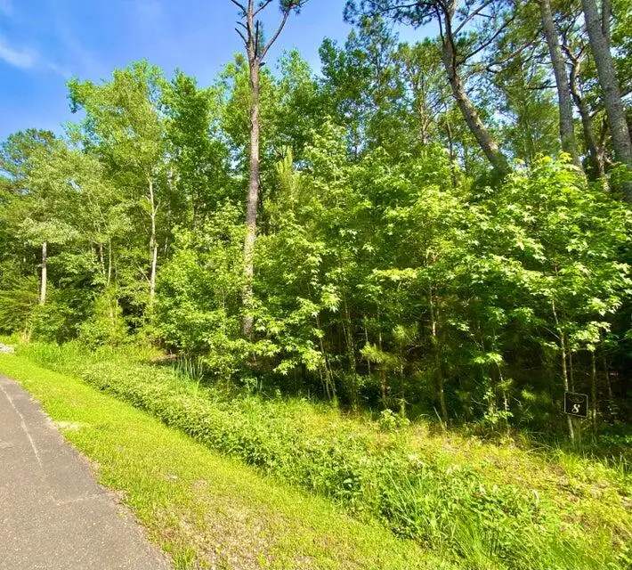 Lot 8 Buttonbush Drive, Ravenel, SC 29470 - Image #3