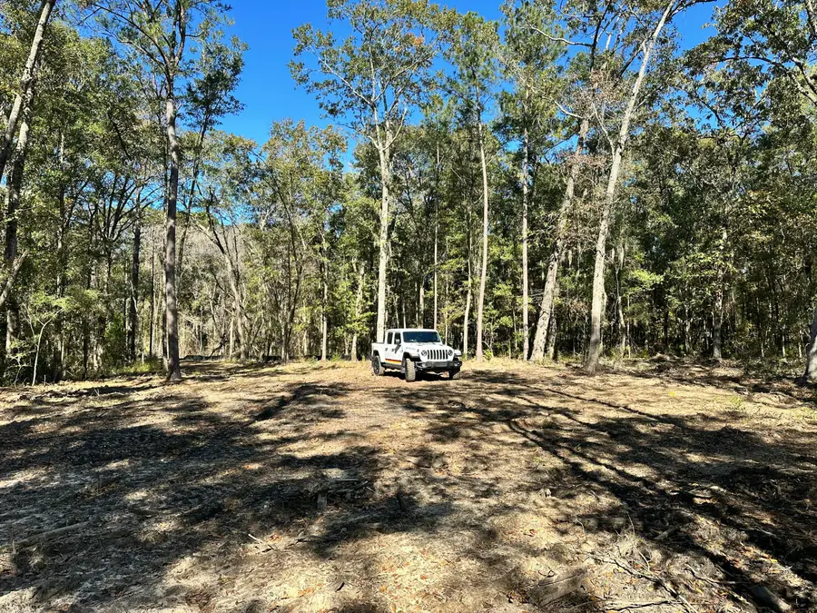 3675 Chisolm Road, Johns Island, SC 29455 - Image #2