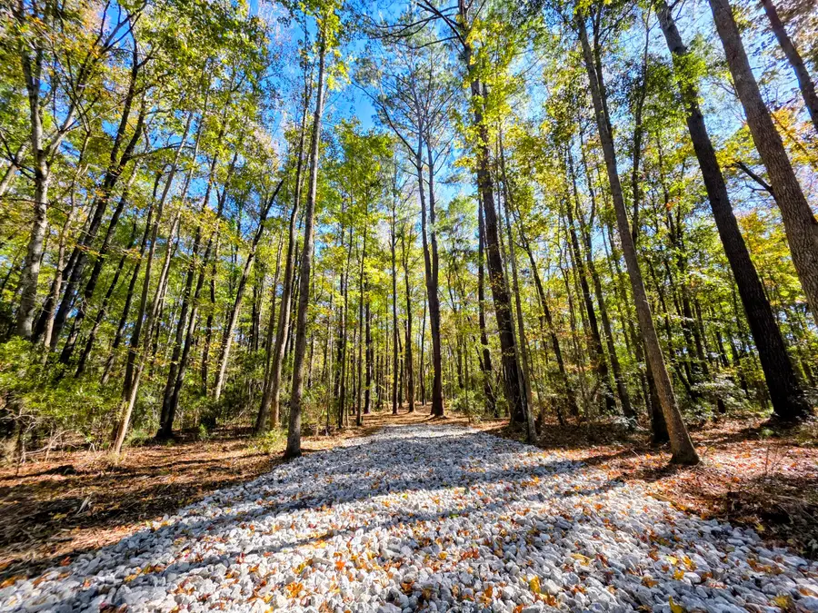 3047 Fickling Hill Road #C-2, Johns Island, SC 29455 - Image #2