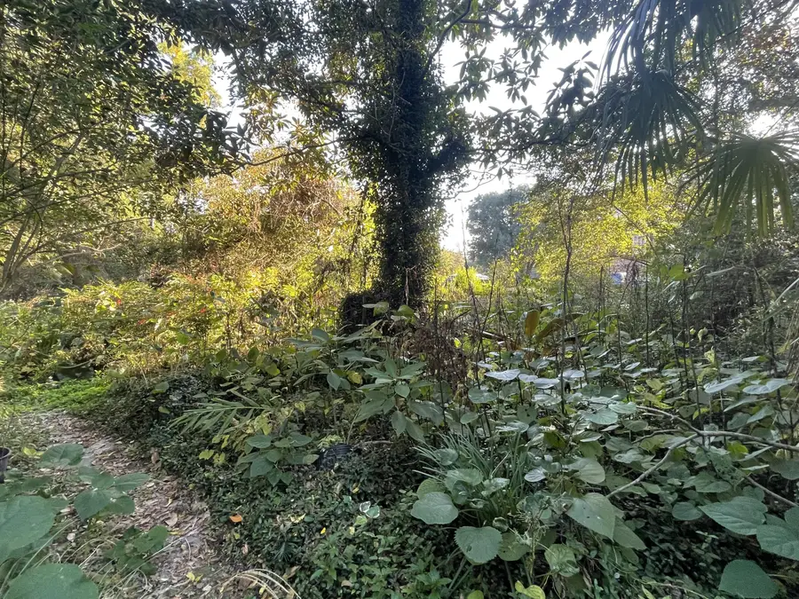 Address Withheld By Seller, Meggett, SC 29449 - Image #3