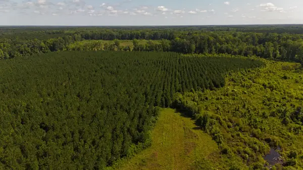 0 Palmetto Sands Road, Branchville, SC 29432