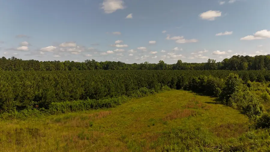 0 Palmetto Sands Road, Branchville, SC 29432 - Image #2