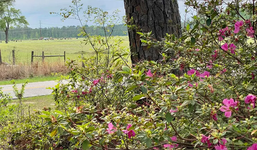 6336 North Road, North, SC 29112 - Image #2