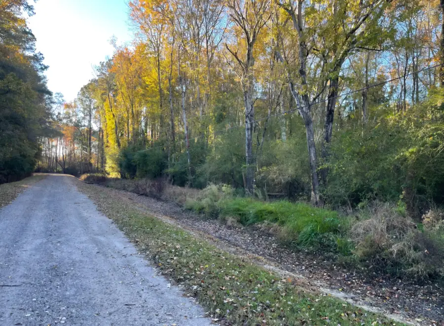0 Dig It Rd, Summerville, SC 29483 - Image #2