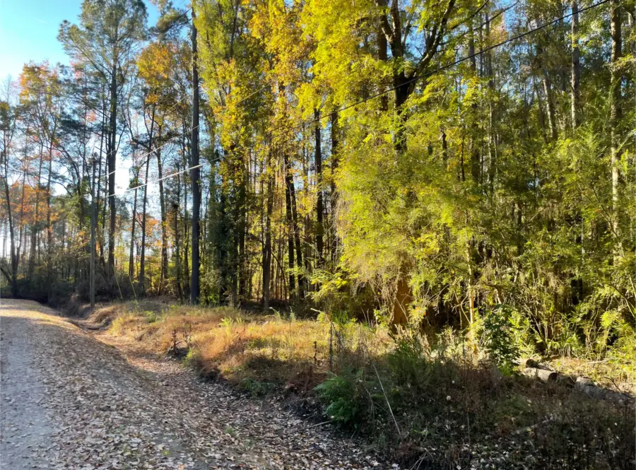 0 Dig It Rd, Summerville, SC 29483 - Image #3