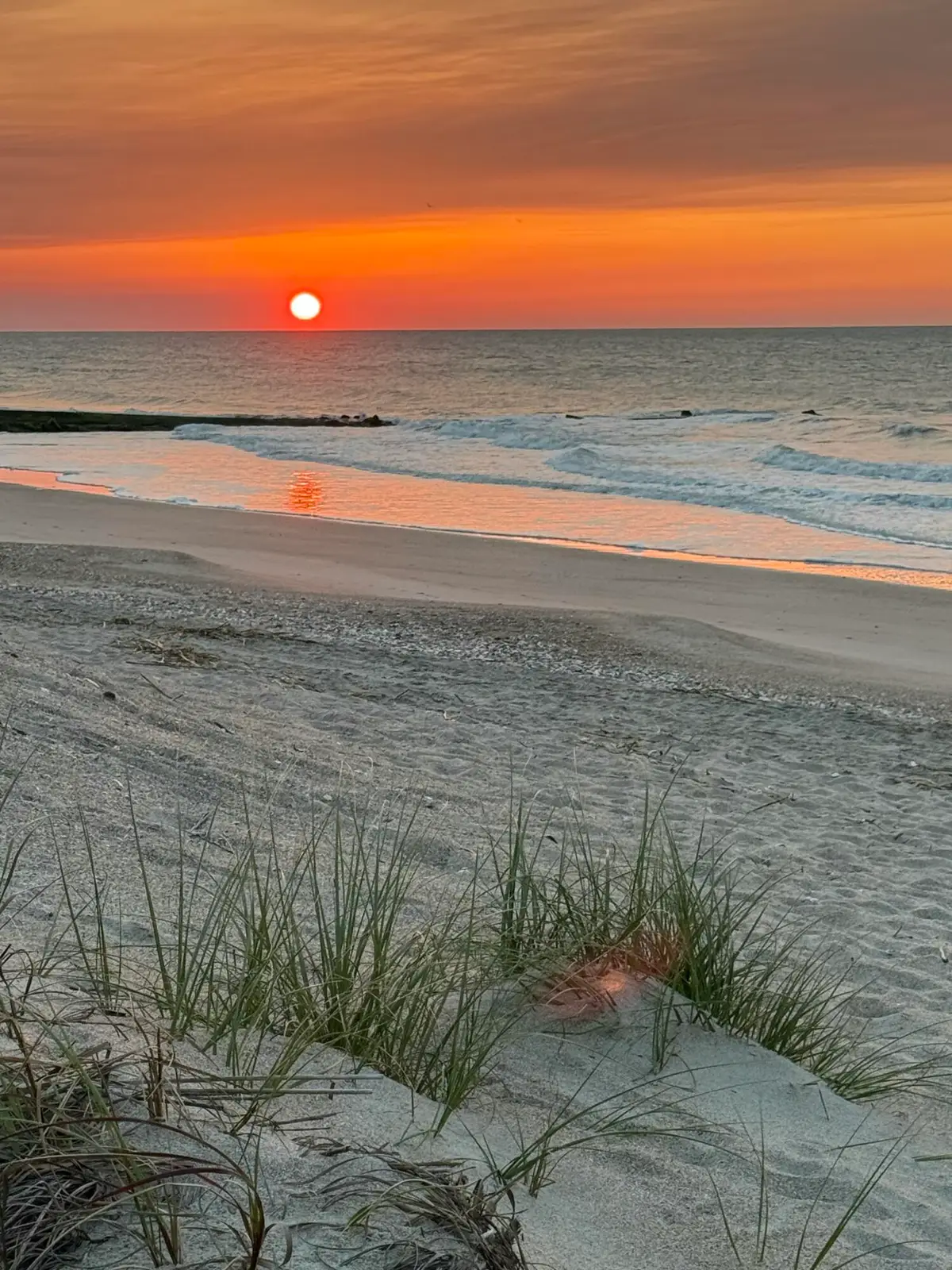 3113 Palmetto Boulevard, Edisto Island, SC 29438 - Image #1