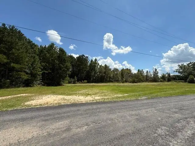 0 Muray Street, Orangeburg, SC 29115 - Image #2