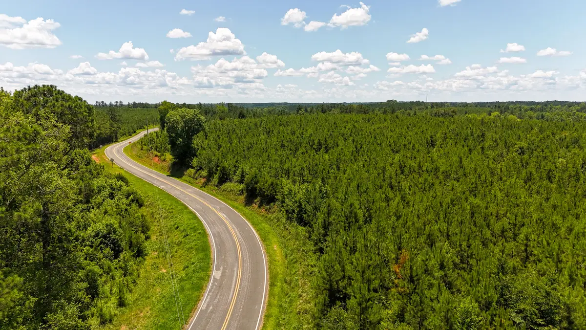 0 Ashford Ferry Road, Chester, SC 29706 - Image #1