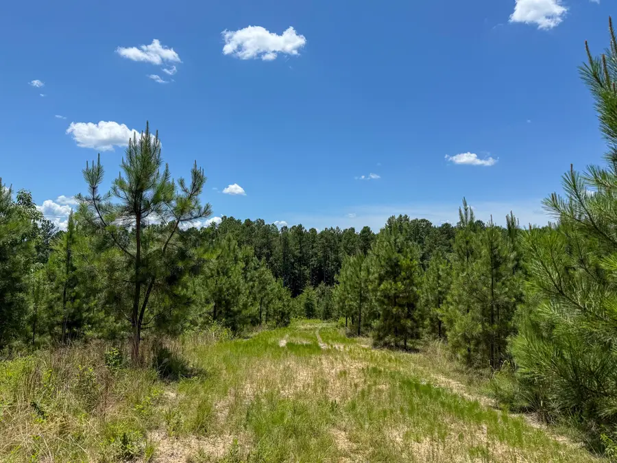 0 Ashford Ferry Road, Chester, SC 29706 - Image #3