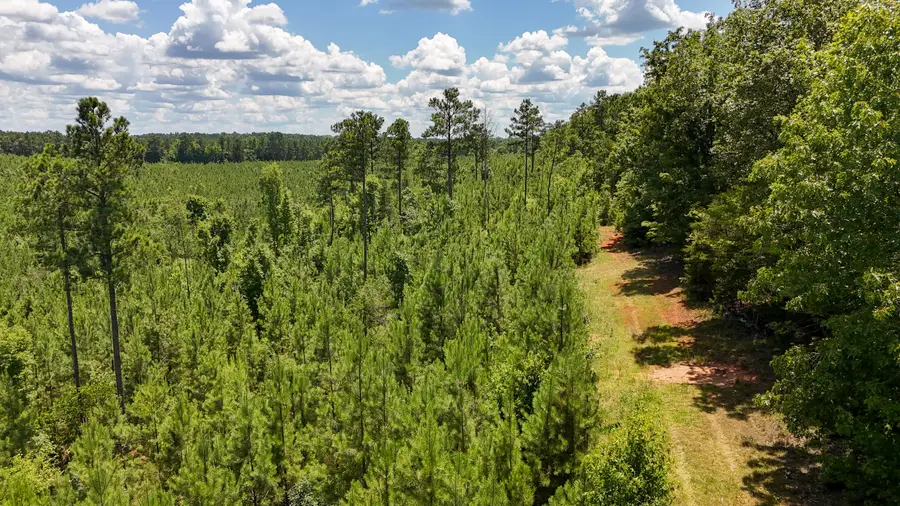 0 Cool Branch Rd, Chester, SC 29706 - Image #2