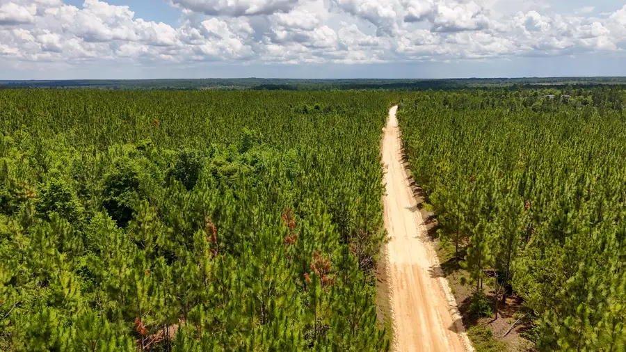 0 Beaver Dam Rd, Cassatt, SC 29032 - Image #3