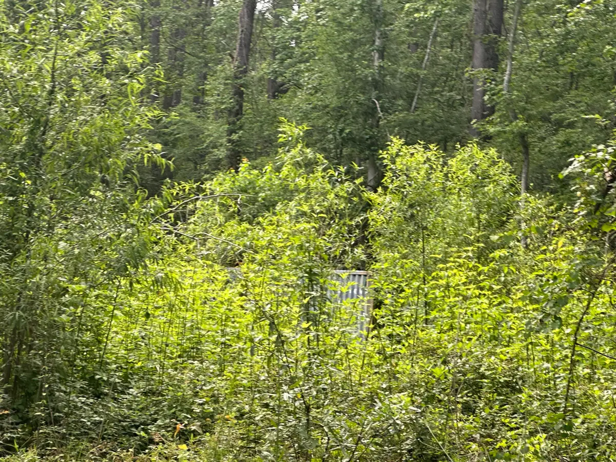 00 Weir Street, Summerville, SC 29483 - Image #1