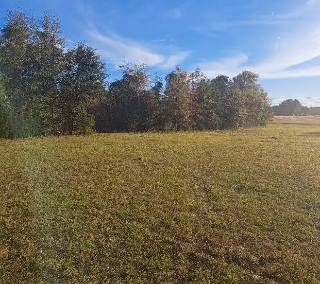 01 Joby Lane, Eutawville, SC 29048 - Image #1