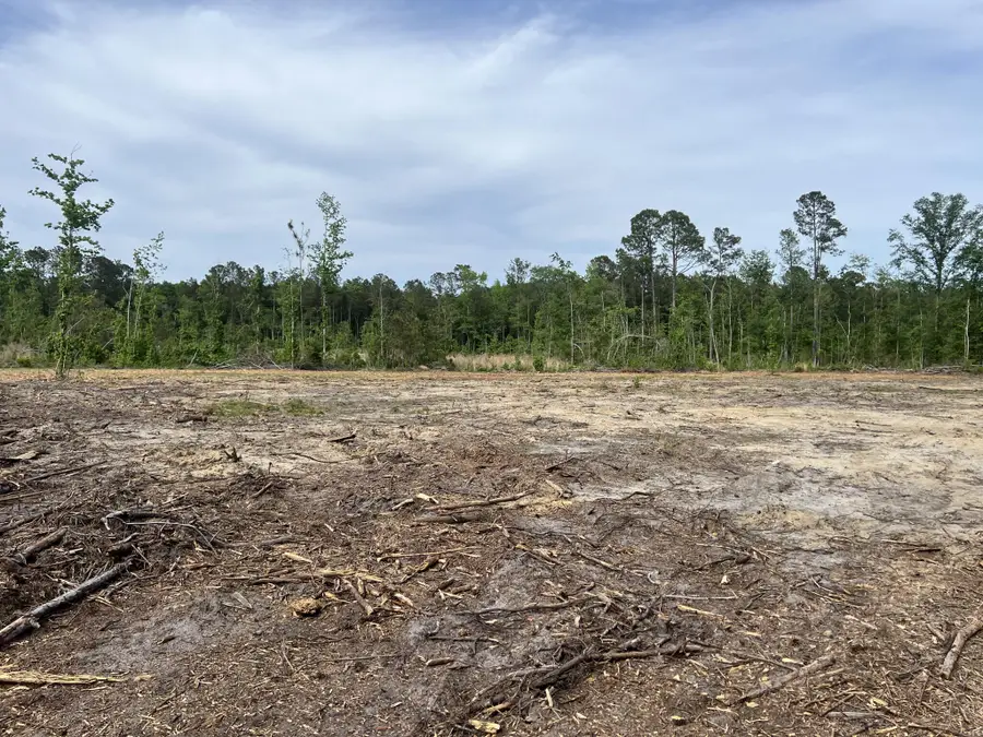 277 Herndon Street, Walterboro, SC 29488 - Image #2