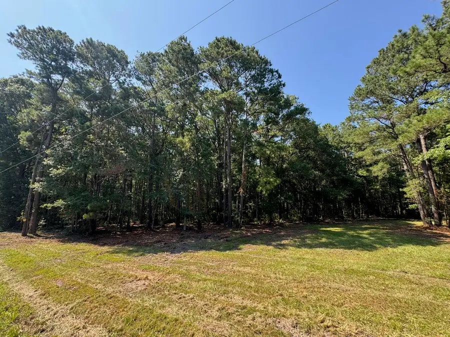 1694 Fish Road #1-5, Ridgeville, SC 29472 - Image #2