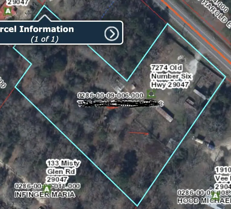 7274 Old Number Six Highway, Elloree, SC 29047 - Image #1