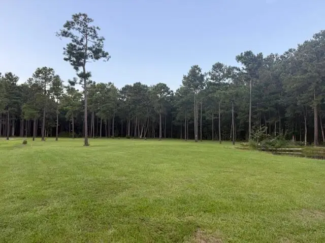 00 Myers Mayo Road #Lot 5, Ridgeville, SC 29472 - Image #2