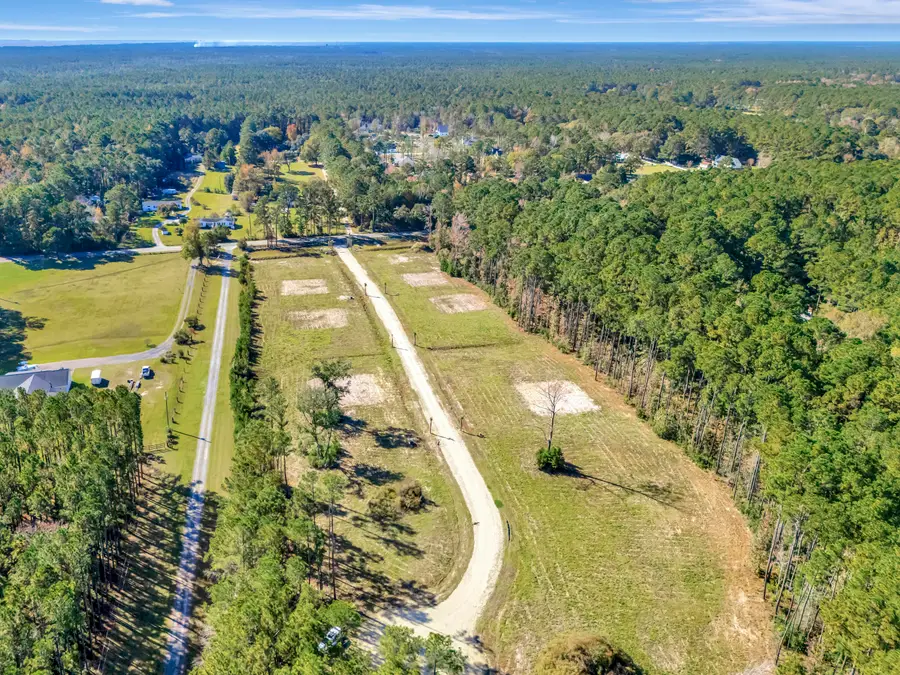 3021 Doar Creek Trail, Awendaw, SC 29429 - Image #3