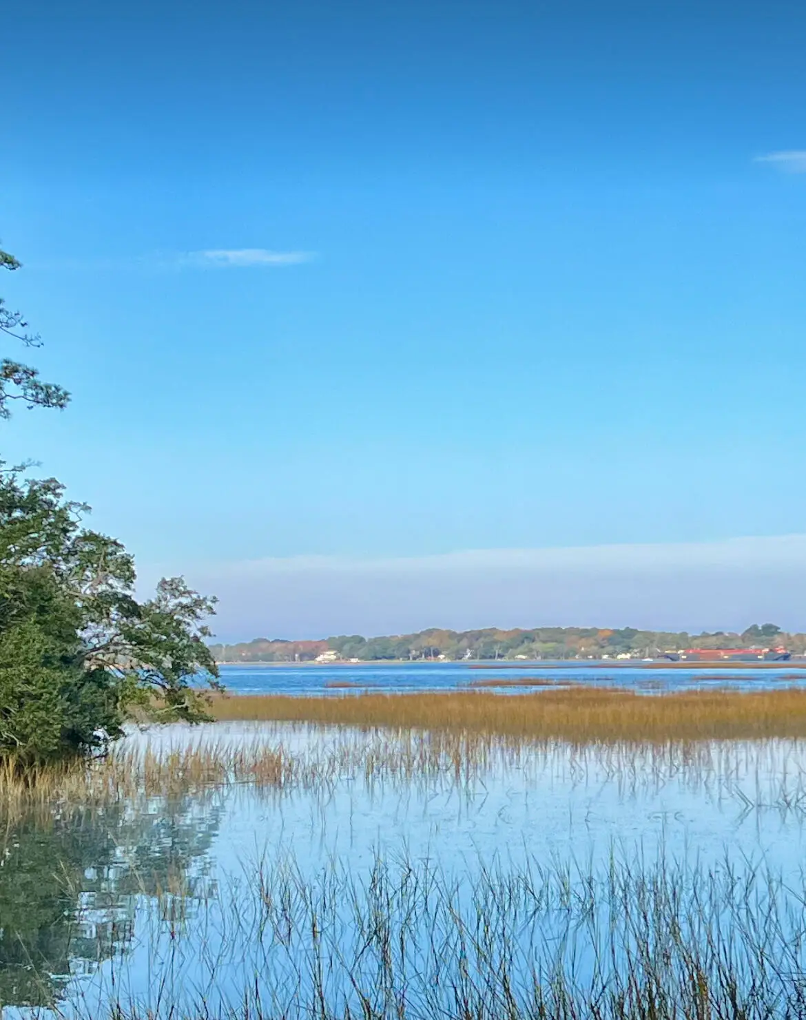 Lot 35 Josie Ridge, Wadmalaw Island, SC 29487 - Image #1