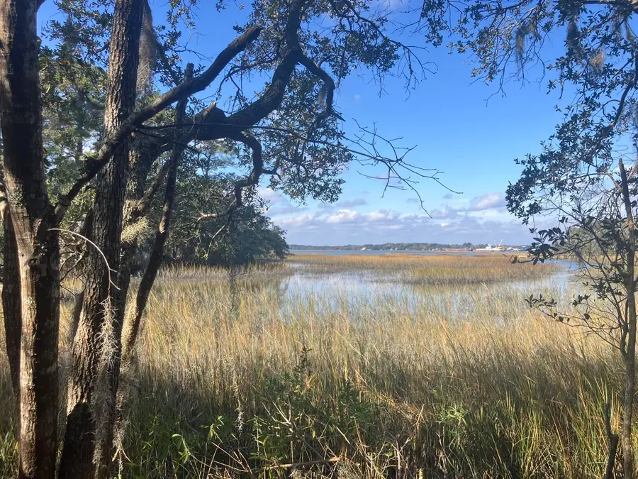 Lot 35 Josie Ridge, Wadmalaw Island, SC 29487 - Image #2