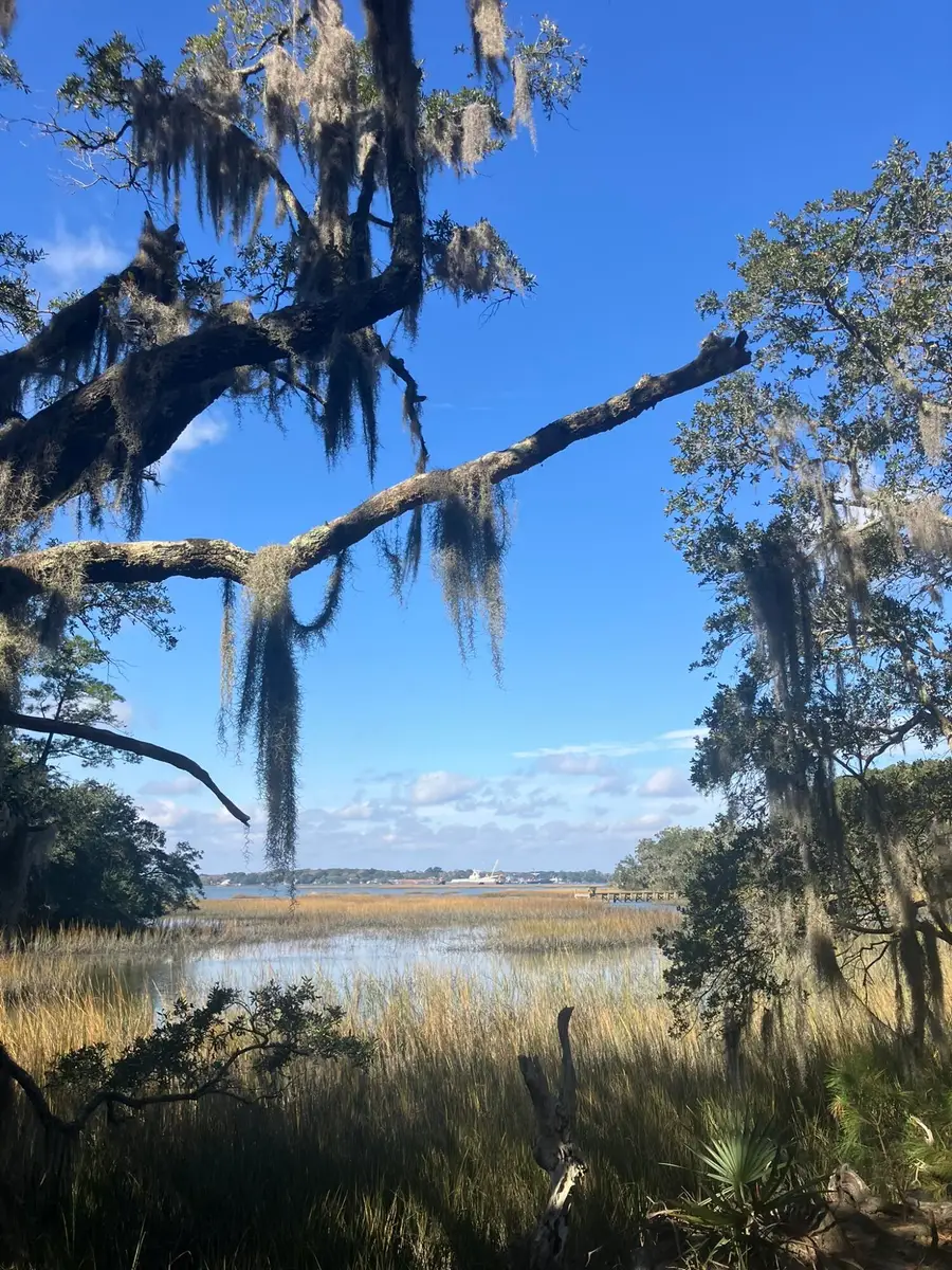 Lot 35 Josie Ridge, Wadmalaw Island, SC 29487 - Image #3