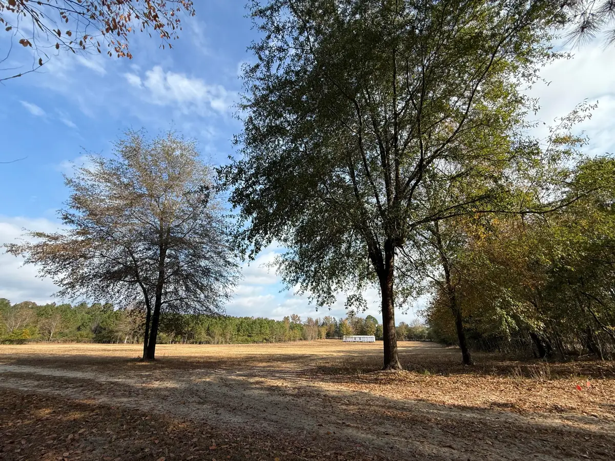 7498 Sc 39 Highway, Williston, SC 29853 - Image #1