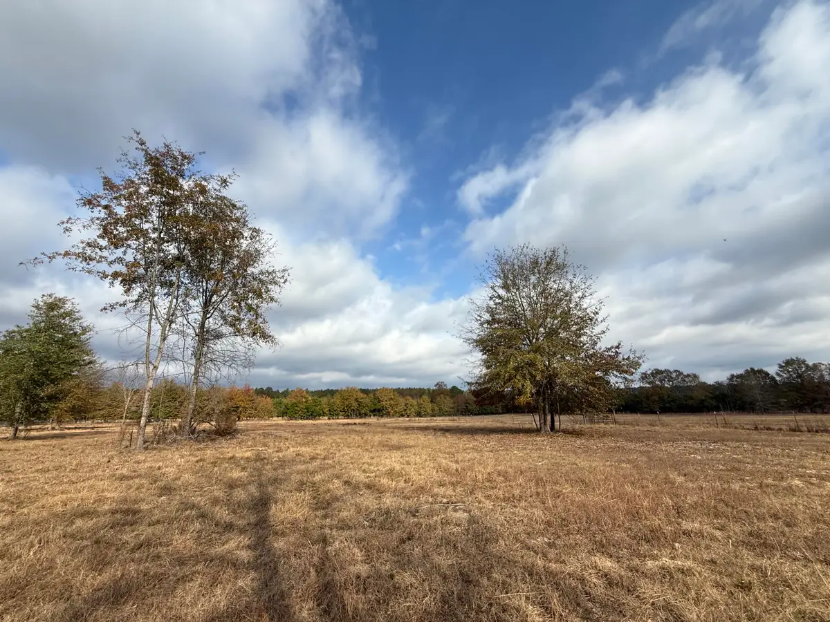 0000 Sc-39 Highway, Williston, SC 29853 - Image #1