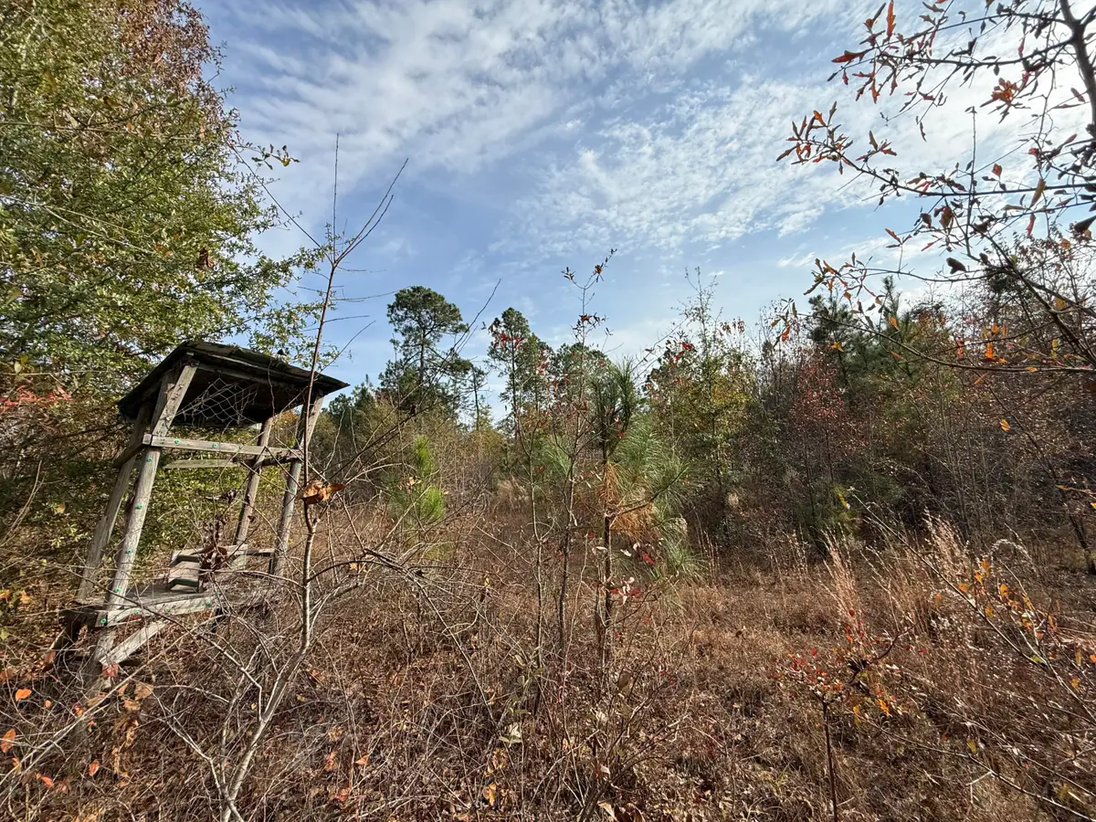 3391 Davis Bridge Road, Williston, SC 29853 - Image #1