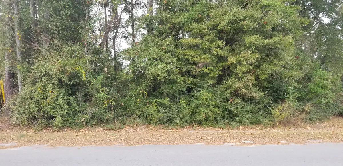 00000 N Lemacks Street, Walterboro, SC 29488 - Image #1