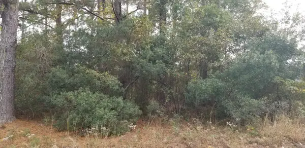 0 Rearden Avenue, Walterboro, SC 29488