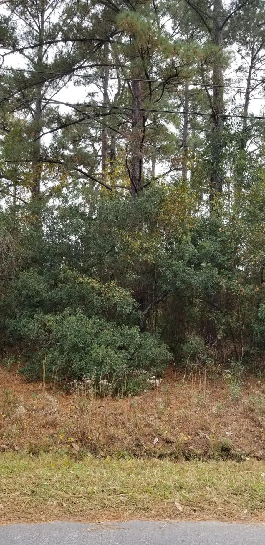 0 Rearden Avenue, Walterboro, SC 29488 - Image #2